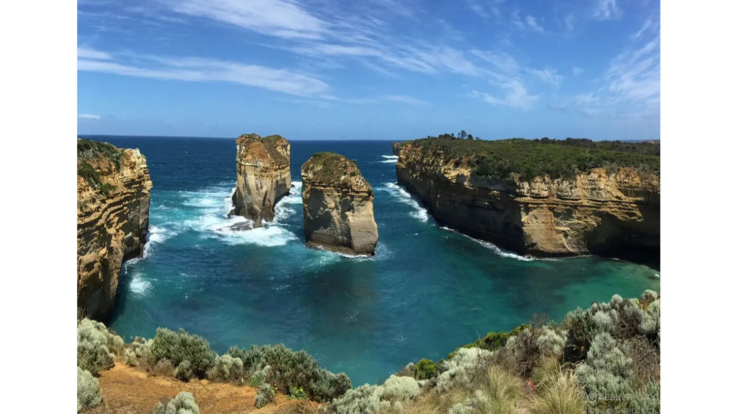 great ocean road day tour